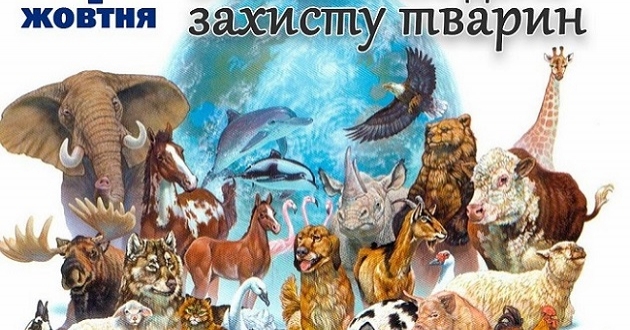 З нагоди всесвітнього Дня безпритульних тварин КП «Київська міська лікарня ветеринарної медицини» проводить День відкритих дверей